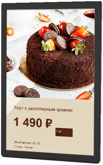 LCD-PM1015 — Настенный или встраиваемый монтаж