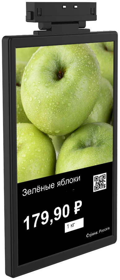 LCD-PM1561 Minew